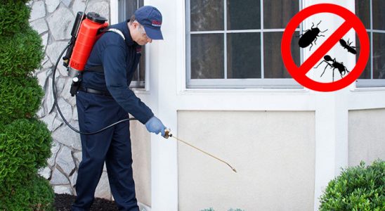 Nizip Gümüşkurt İlaçlama böcek ilaçlama ve haşere kontrolü — ilaclama-tr.com
